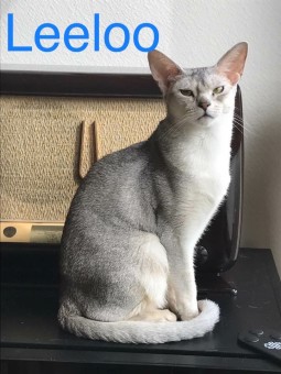 7CF1B343-0421-477D-8BD2-D3894522C255