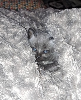 7F6AD1F7-142E-4FC0-9710-B969D903F3AA