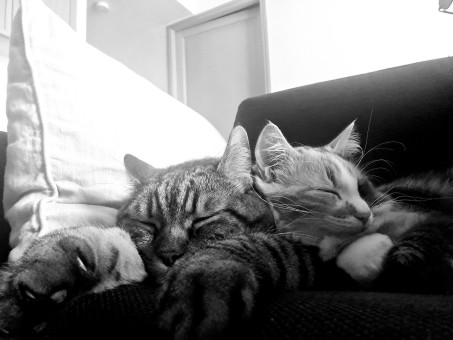 802E6A9A-15E2-4343-9996-00722838873D