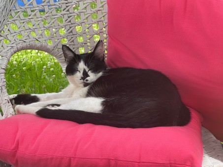 8698D6F9-231C-49F1-8D30-7F63E5005A28