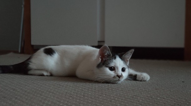 87BBE736-6AE2-4768-A458-2455712AAEDC