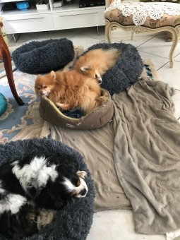 89CA1FDB-6BDC-430E-8631-9D422CA4F892