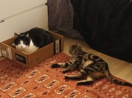 8AAEC0D6-525B-45AA-954C-0977CA795E50