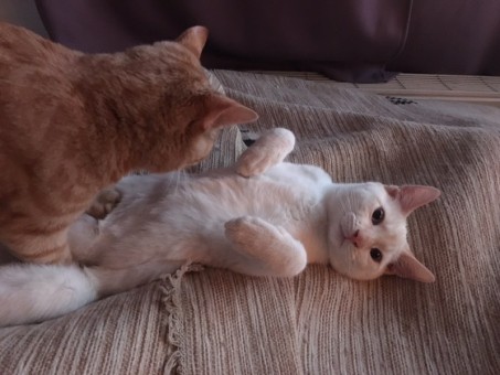 8C1C9670-9781-4FCB-9E94-D5CD100A388F