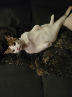 8DDC4D00-AD22-45BD-8E23-90F26A96B18D