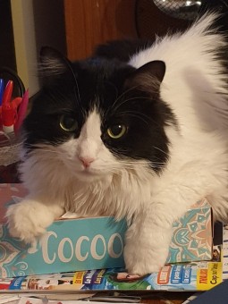 926C47C0-C169-4A8D-94B0-AEC53F43B7D5