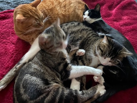 932FAA10-99EF-4961-86CA-9CF79B5913C8