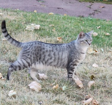 93DC11C7-6974-487B-8A23-1D3F313C66A0