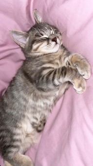 94E7979D-F581-46E4-88EC-0A238840D0B4