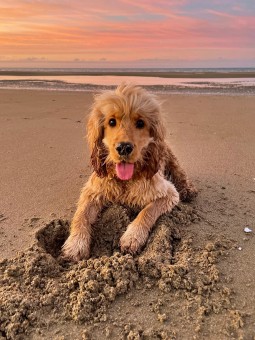 99E17147-4988-4EB4-B6E9-A3374DEDCA55