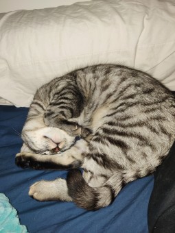 9B864ADF-138B-4709-B0C9-9E516AC9E753