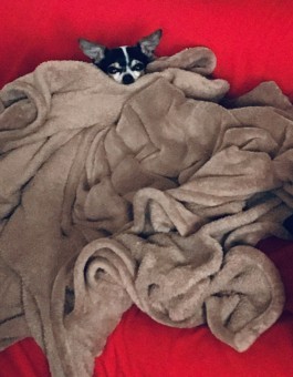 9D2EE7E1-A340-40E3-9BC7-AAFAC3FCF4A2