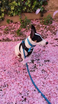 9E46789F-B042-46C5-B5A5-268FF1CDA35C