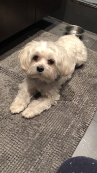 A4C76D02-B27D-4B53-BA01-E14F99A1DC08