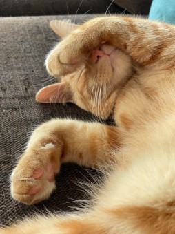 A56CCCD7-2B09-4927-BDBE-AF6B27399063