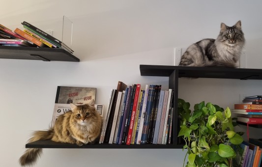 A5702BF1-A51F-4E6D-8FD6-2092F6B9BCCE