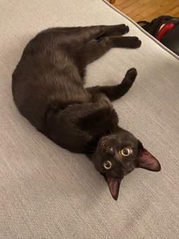 A5C5D24E-CE8C-4DED-830B-964BFA40F8FA