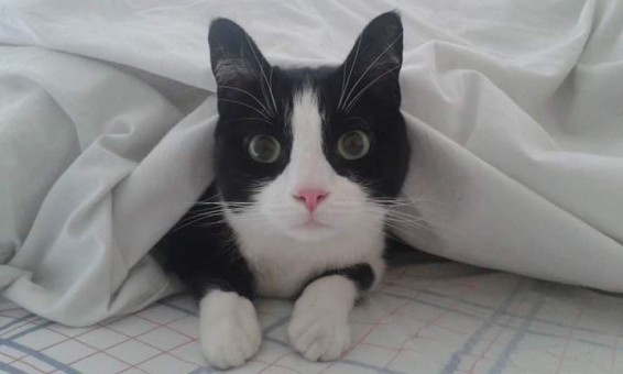 A6344F80-168C-459C-B702-5872D1ABCAEC