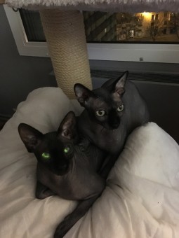 A78FF1B6-19C4-4F3C-8A97-AABA88BF9795