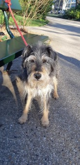 AD5BBCD8-759B-436F-B38A-2842129A0F5A