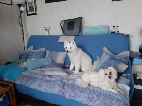 AF09E8FF-0410-438C-9460-1F44656E7B00