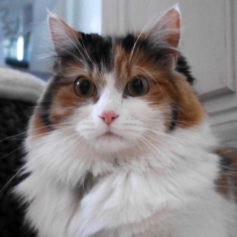 AF647DF1-3B06-4987-B06F-6E290F6CBA5F