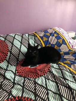 B0CE0B1D-1A51-4155-9D48-8633FECAF990