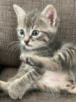 B0D64CE0-4BB5-488F-B092-83AE4A203802