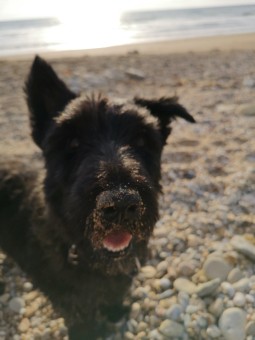 B1F8E255-25D1-471A-8DB9-719D396C0829