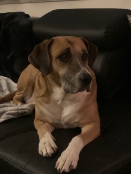 B5029FE0-3D57-433A-AA32-C415F22E8FDF