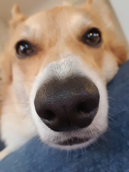 B5776D33-60E8-412B-8432-785DDAD676C6