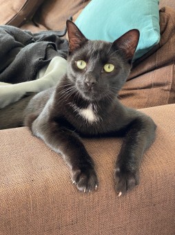 B5C23612-D7B0-4885-87D5-211F968A374D