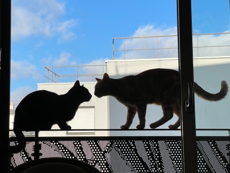 BA723375-D7C2-4465-90B8-19712384E1B3