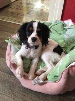 BD8242F4-120E-4E4D-8F68-91A36D2B3B27