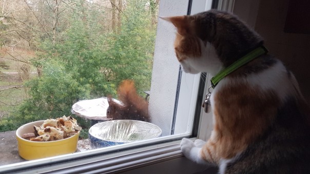 C0DC909A-E440-4A27-85C5-9FA95B4BE2D9