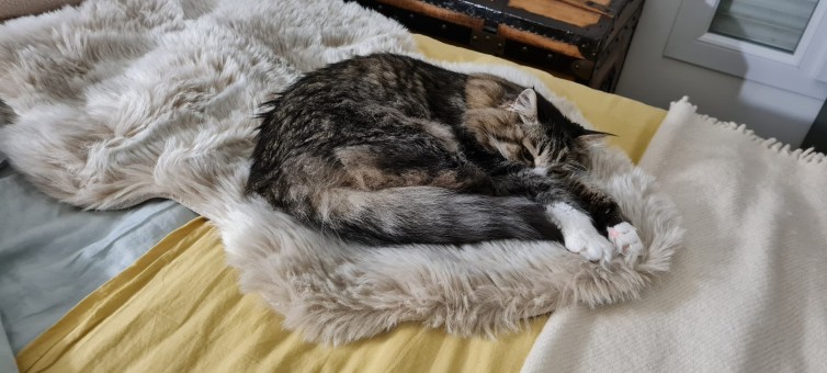 C1BF5793-3235-4BBE-84F5-D8A1981E0300