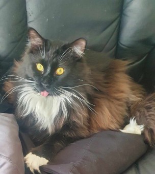 C2EE9BCD-1968-4DB1-A33B-E960BD9675C2