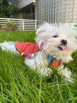 C3A604A6-FF5F-4CC8-A7B9-DBB4586A4E12