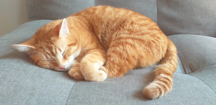 C4EA69AB-622F-443E-BE17-847D305BE162