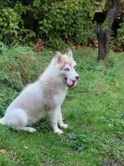 CA27A301-0AE2-4065-B0BC-B59D97F9EC25