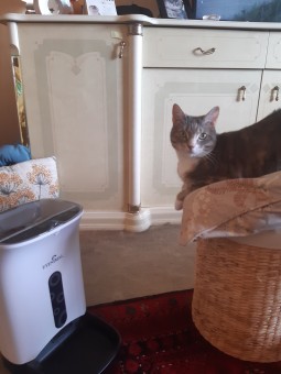 CE7C7B5A-C6F7-49E5-B87D-445156474A17