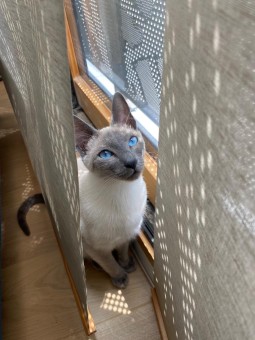 D23BC754-7F32-44EC-99CB-1CF2B39E930E