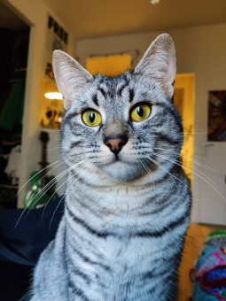 D323CDA2-9246-49E8-AB10-EA6448D9AA75