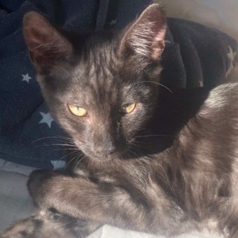 D617AF34-4ACC-4073-AD86-D756126AD12B