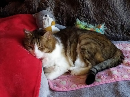 D7CD1B52-D905-4E01-8C5D-E56DB273847B