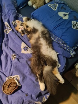 DAB9EB99-54EC-4802-9189-1F8774BA6387