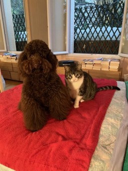 DCF91EF1-2F4F-4016-A3CC-D8B732E79366