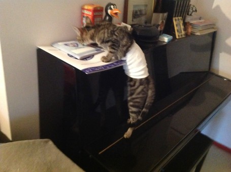 E5187446-A5BA-4482-B47C-D7B29882F6E3