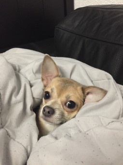 E5CF8523-9E2A-4625-8C2F-5136D3F13E70