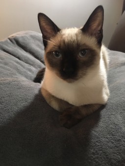 E83B9C3C-9898-492D-AE88-8D84B7F042FB